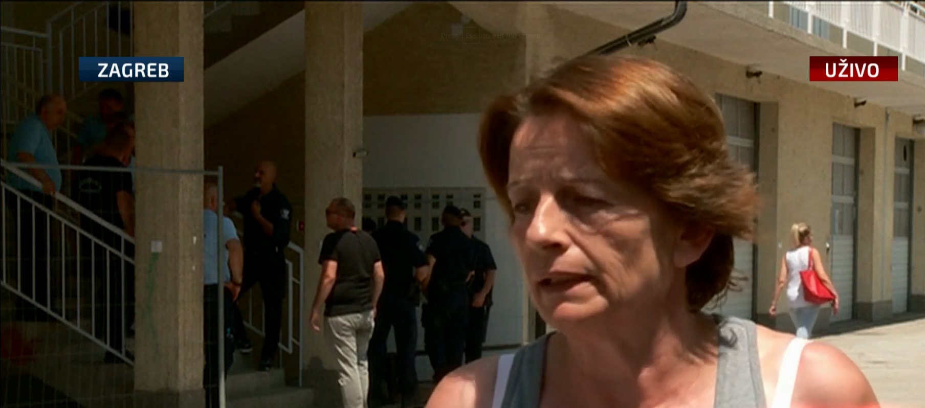 vesna-milanovic-248746.jpeg