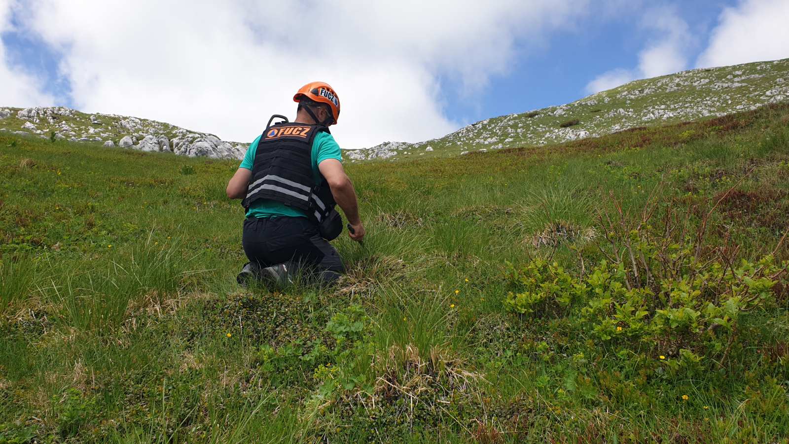 viber_image_2020-06-30_16-52-17