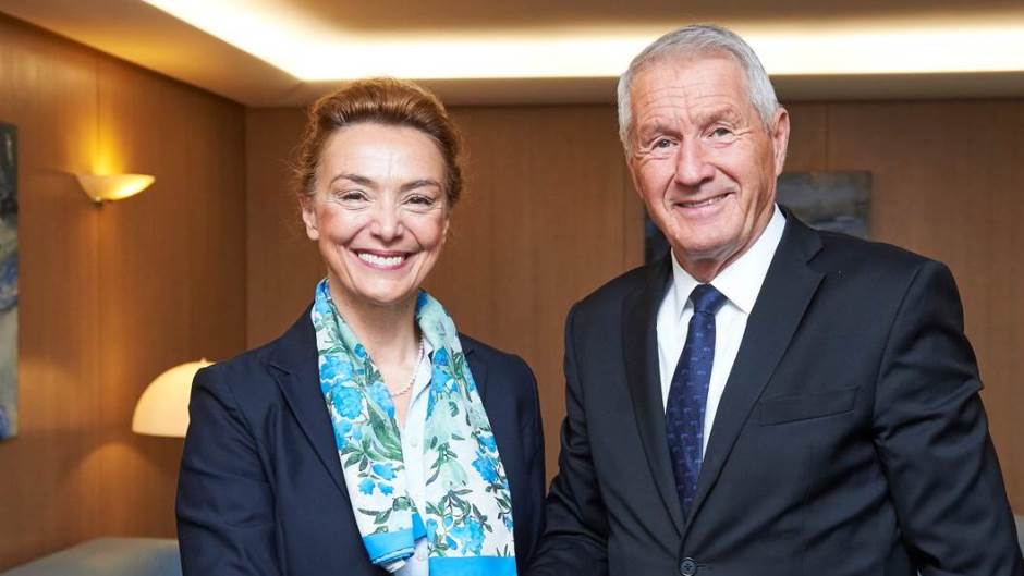 Vijeće Europe pejčinović