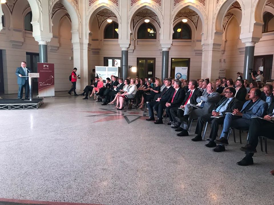 Vijeće stranih investitora