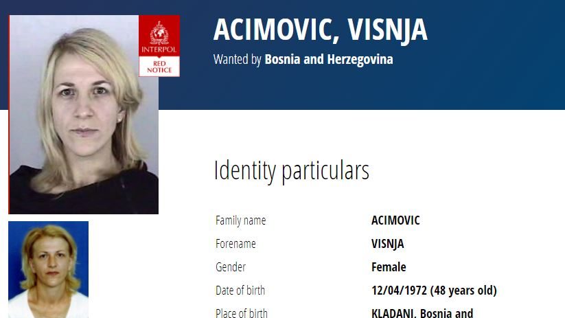 Višnja-Aćimović-e1604912811297
