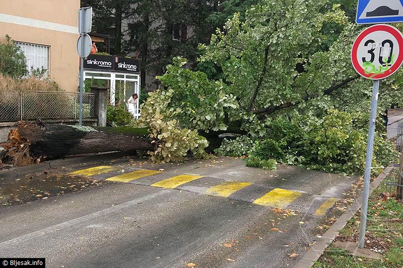 vjetar-stablo-rujan-2017-sruseno-3