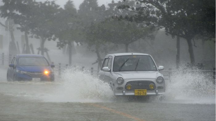 vongfong