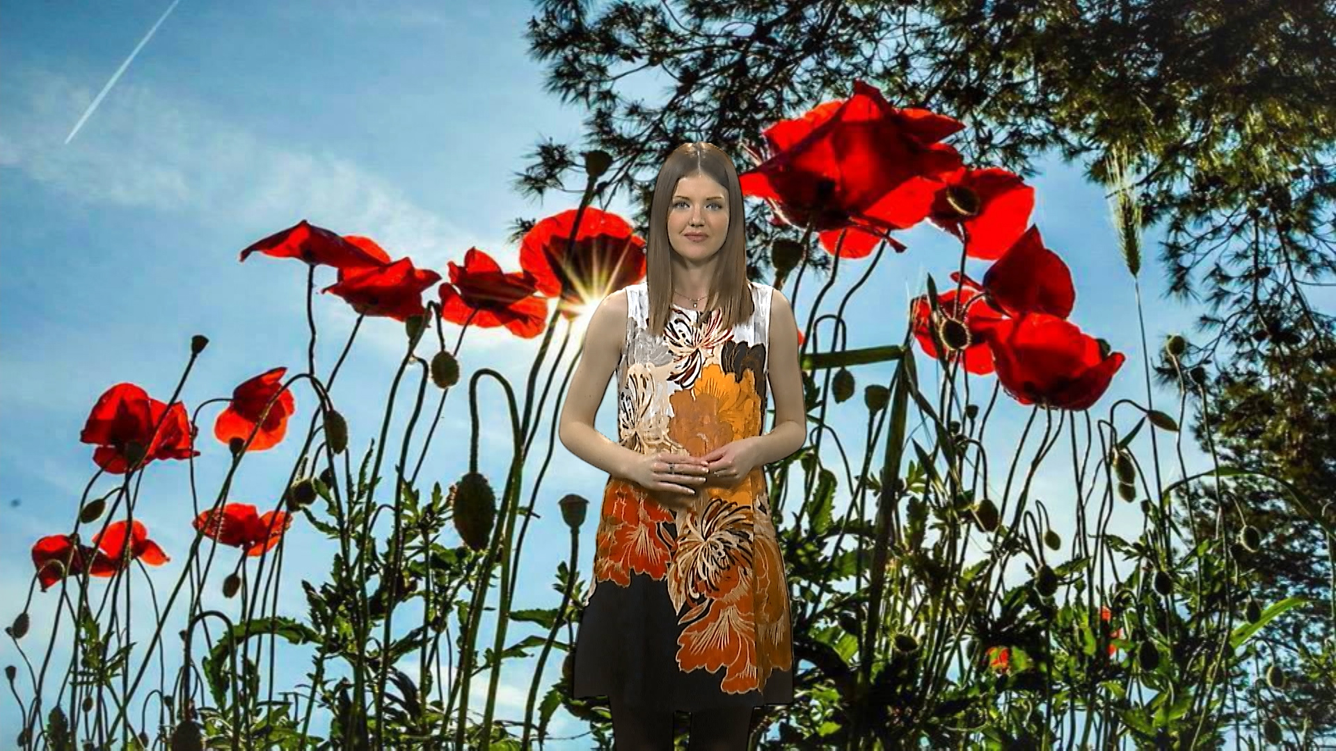 vremenska