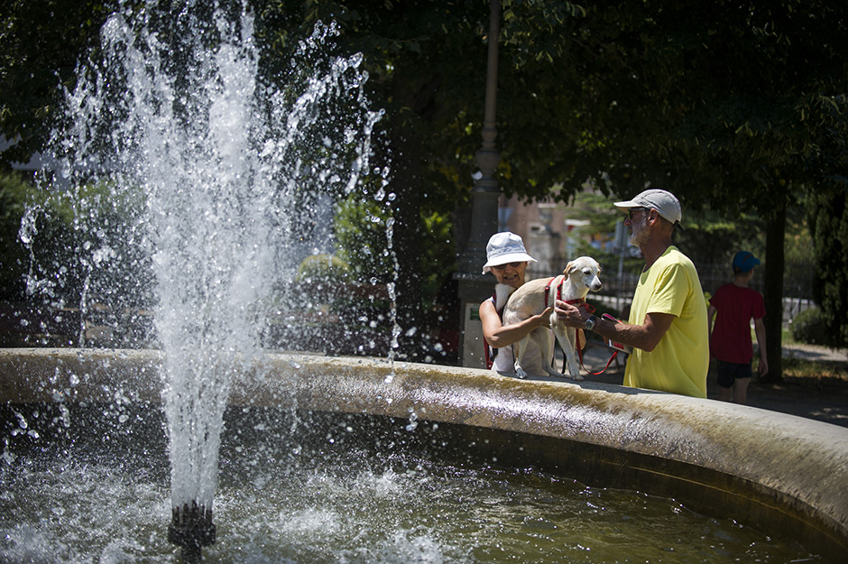 vrucina_sibenik08-070715