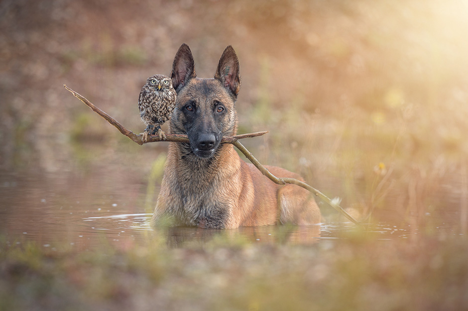 Tanja Brandt