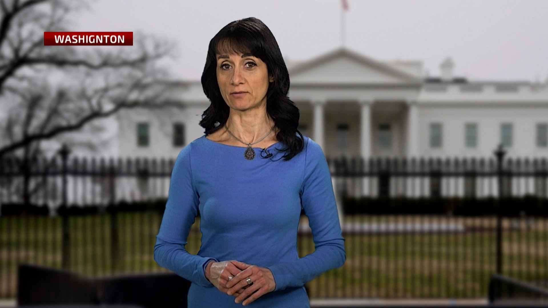 WEBSA-SKYPE-ALIREJSOVIC-200220-DU(20200220-183058556).mxf.00_00_48_07.Still001