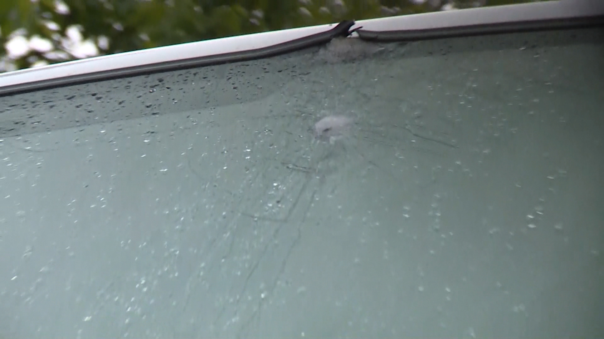 WEBSA-SOS GOSTI ND-310518-1(20180531-105640934).Still022