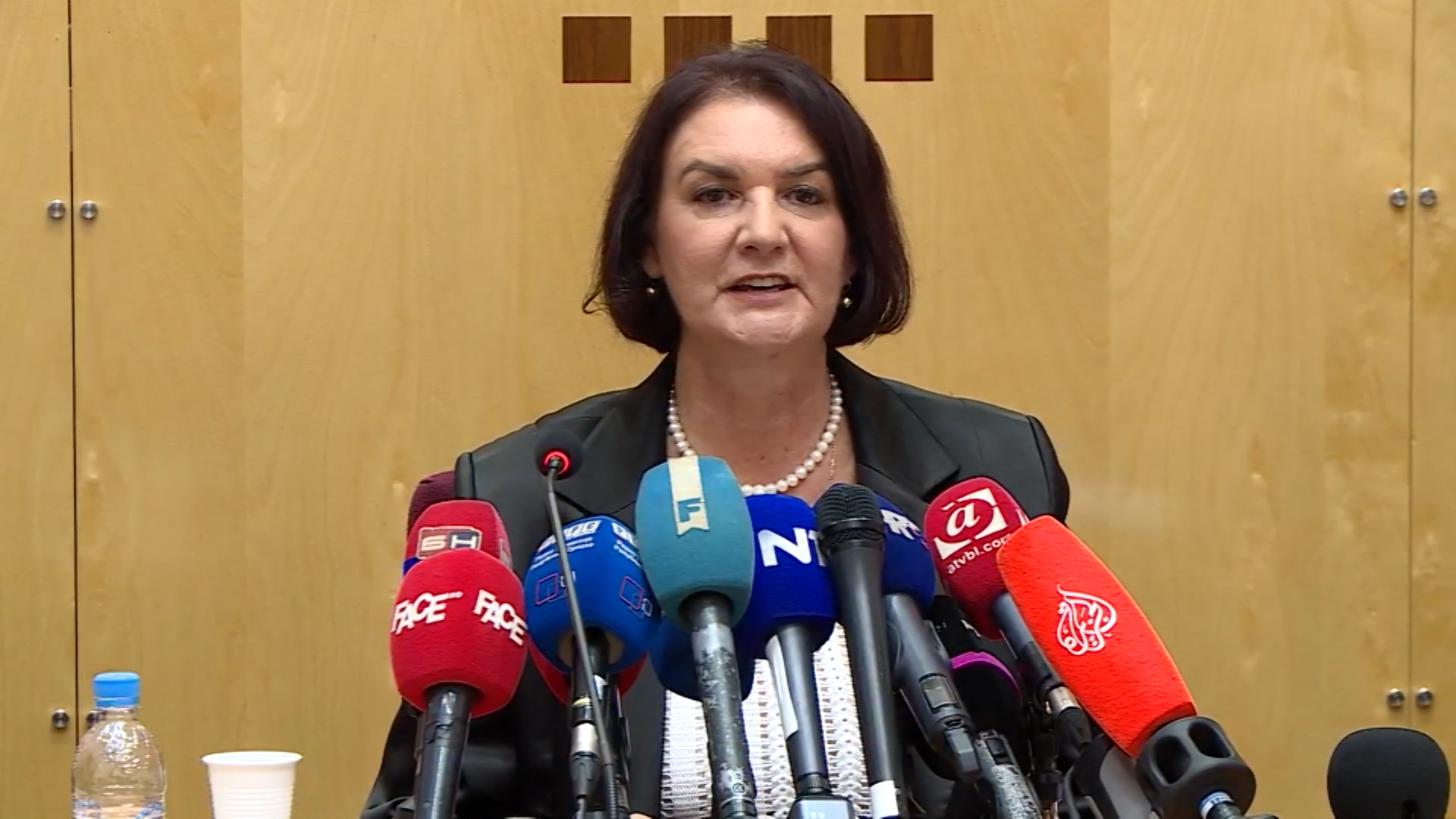 WEBSA-TADIC MEKTIC N1-TAS-1(20170829-152741524).Still001