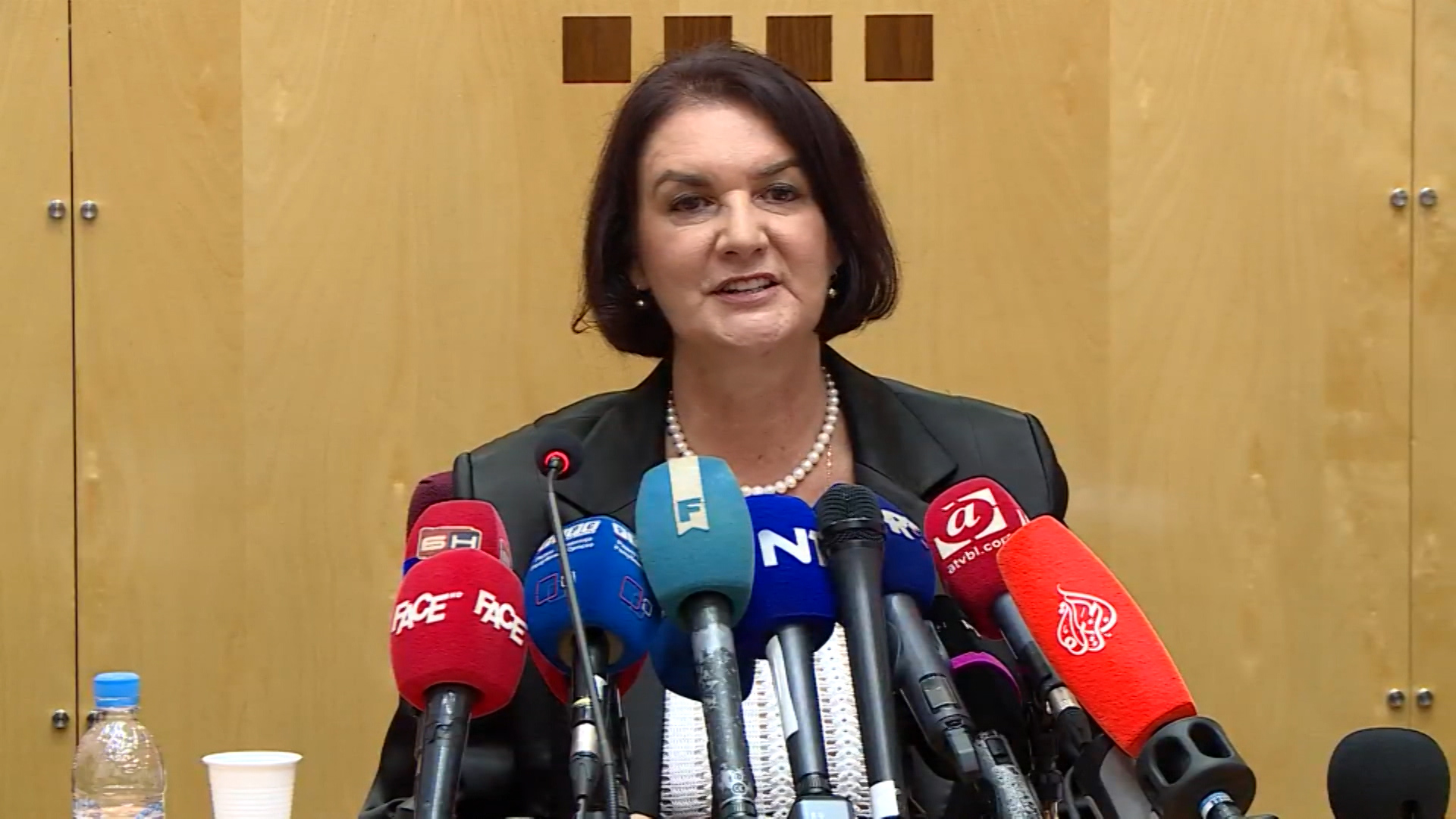 WEBSA-TADIC MEKTIC N1-TAS-1(20170829-152741524).Still002