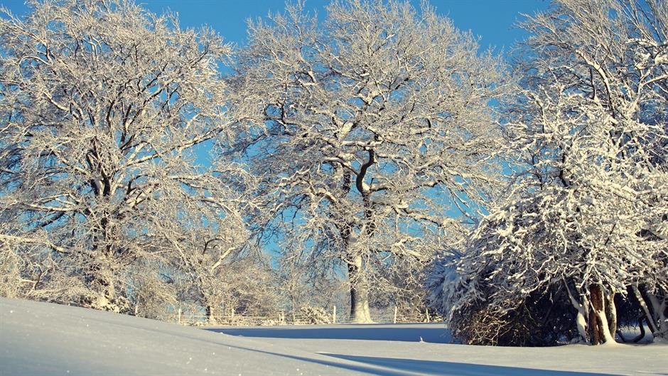 winter-1861695_1920