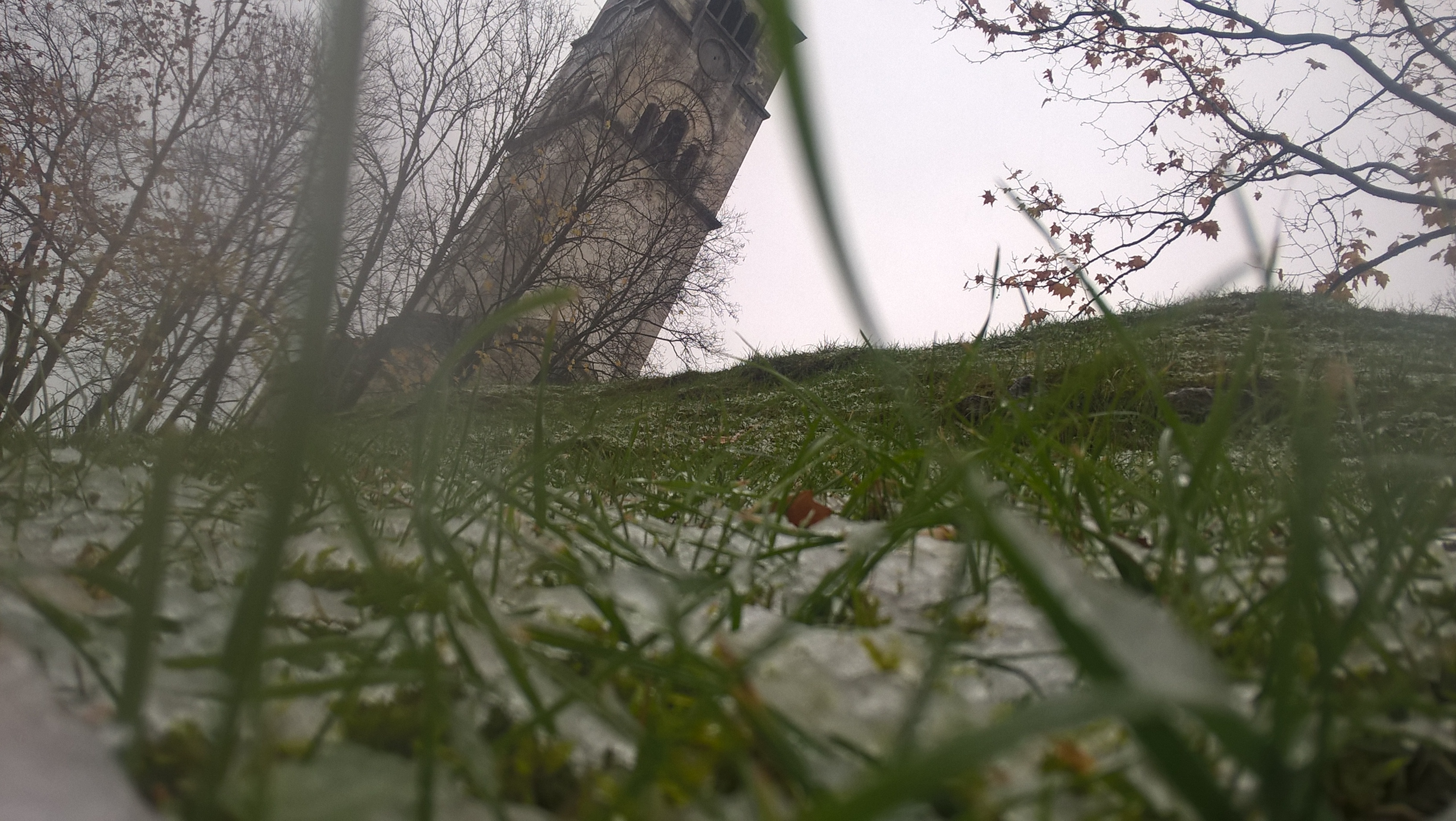 WP_20171113_14_32_55_Pro