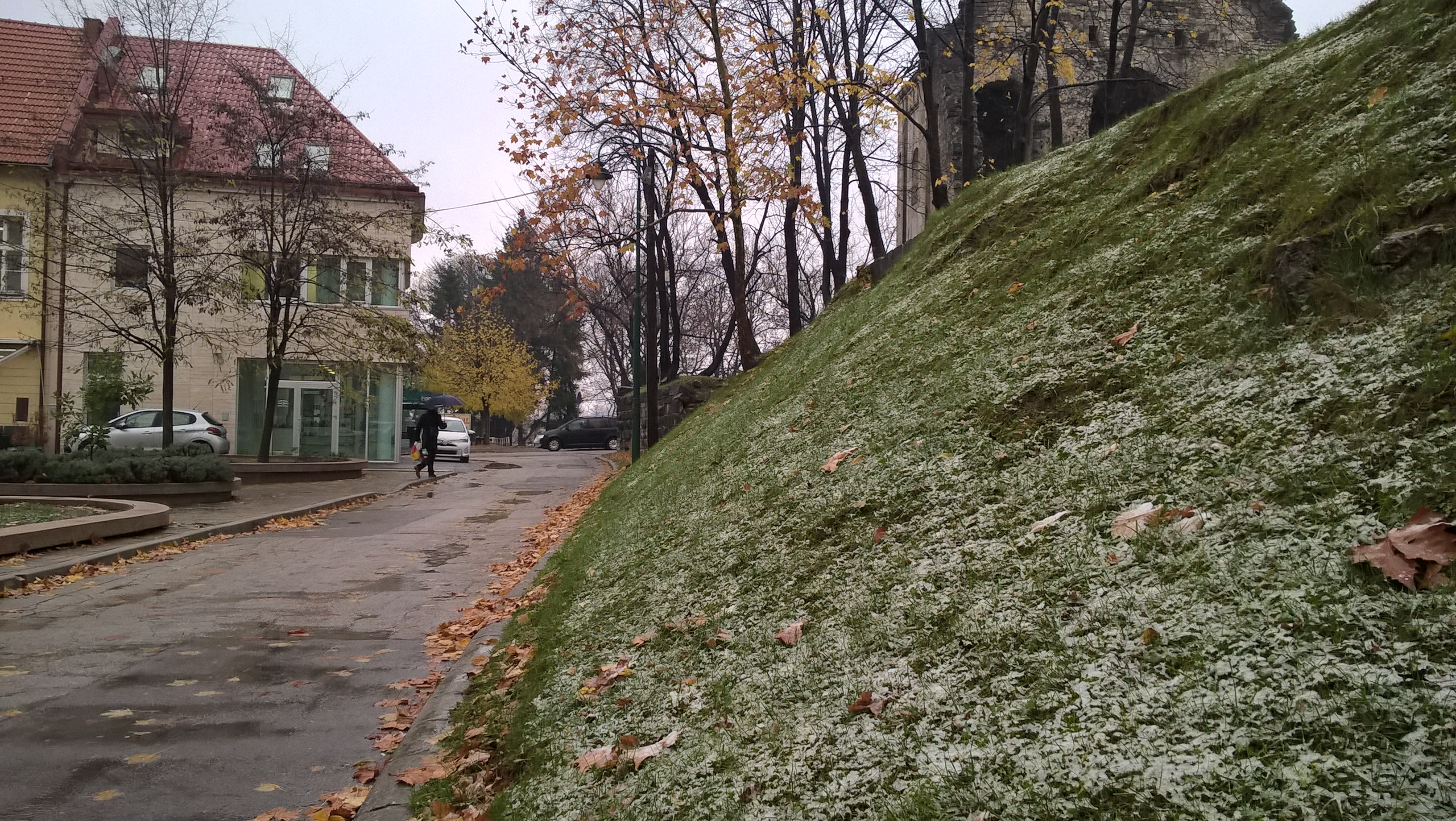 WP_20171113_14_33_20_Pro