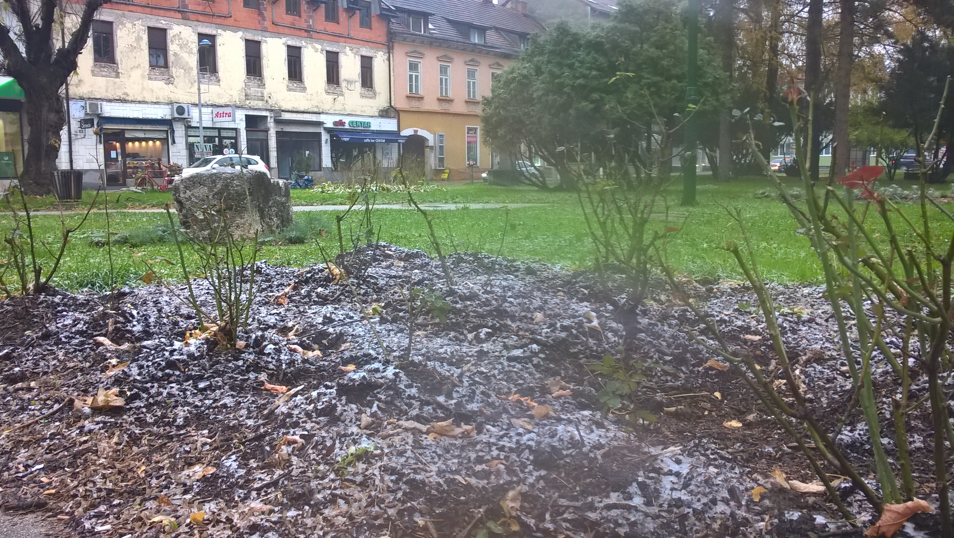 N1 / Džemal Ćatić