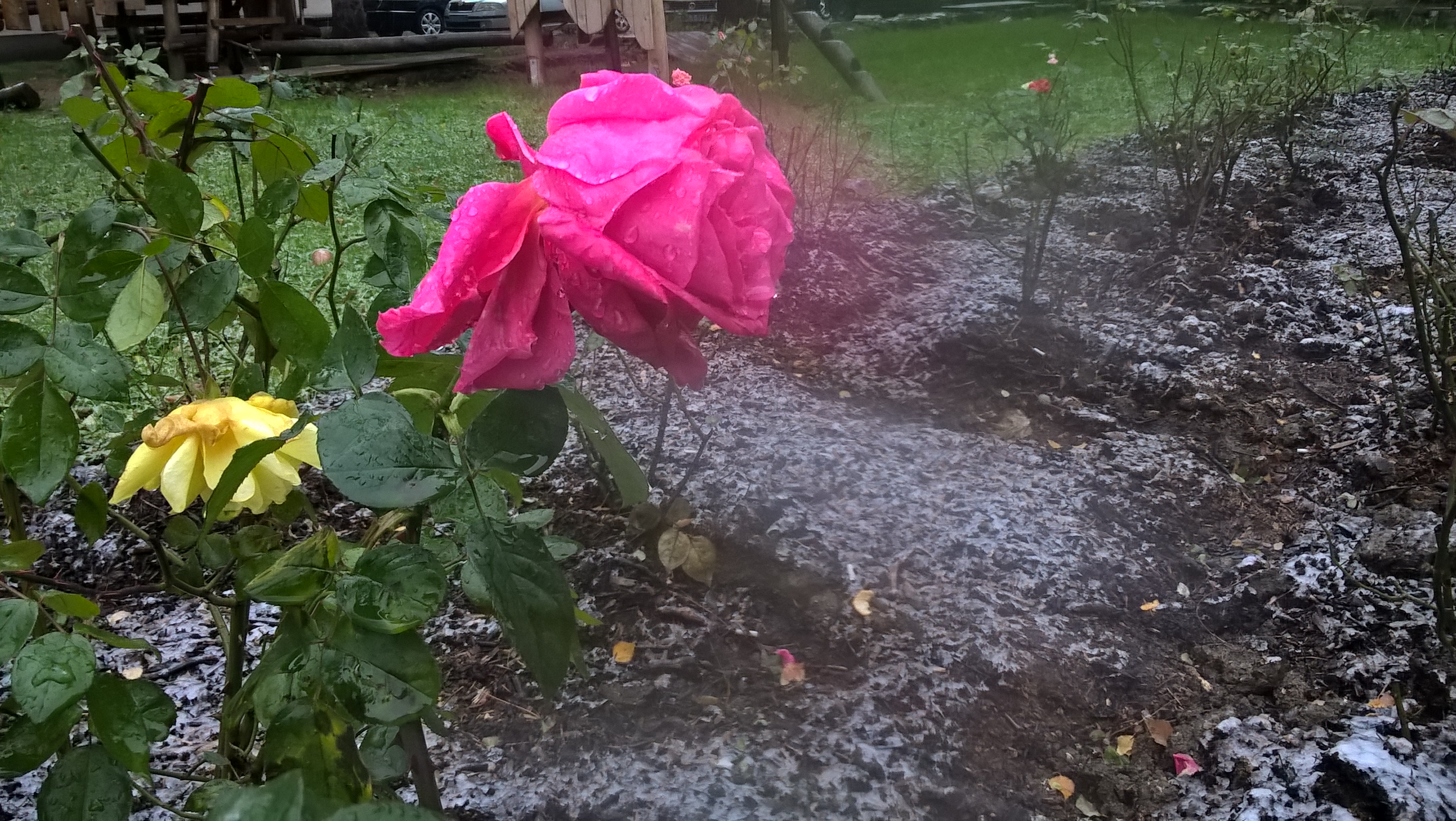 N1 / Džemal Ćatić