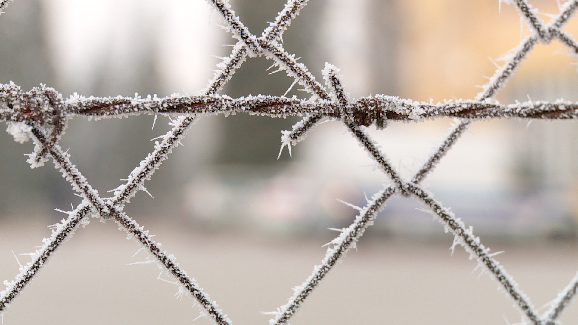 zg-sisak migranti-kba-11_623_0100FILE(20161218-133807212).MXF.Still001