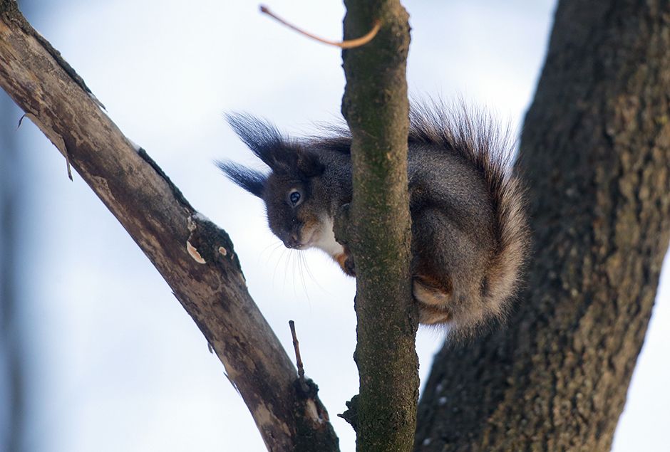 Tanjug/AP/Sergei Grits