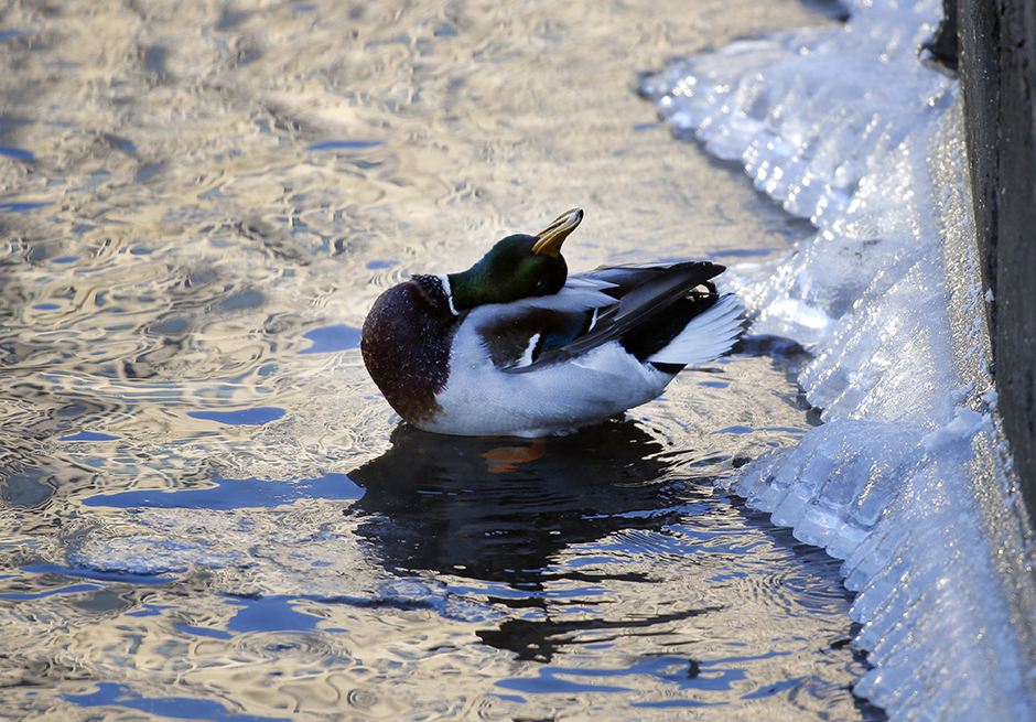 Tanjug/AP/Sergei Grits