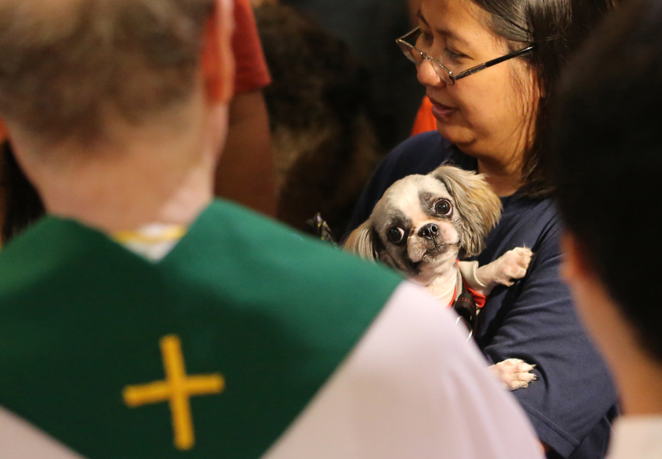 Tanjug/AP/Aaron Favila