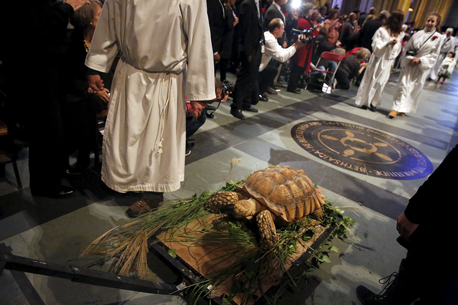 REUTERS/Elizabeth Shafiroff