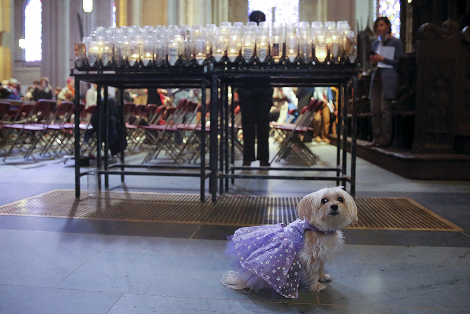 REUTERS/Elizabeth Shafiroff