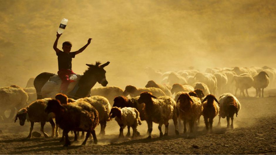 Foto: Özkan Bilgin/Anadolija
