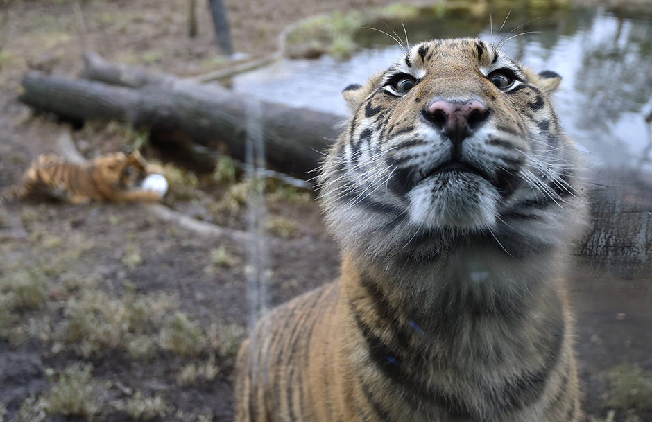 REUTERS/Toby Melville