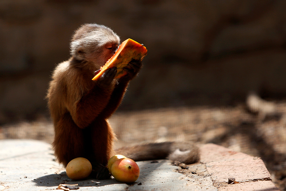 REUTERS/Carlos Jasso