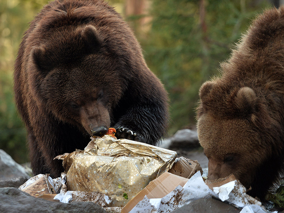 AFP/Jean-Francois Monier