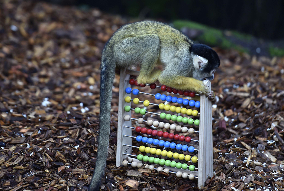 REUTERS/Toby Melville