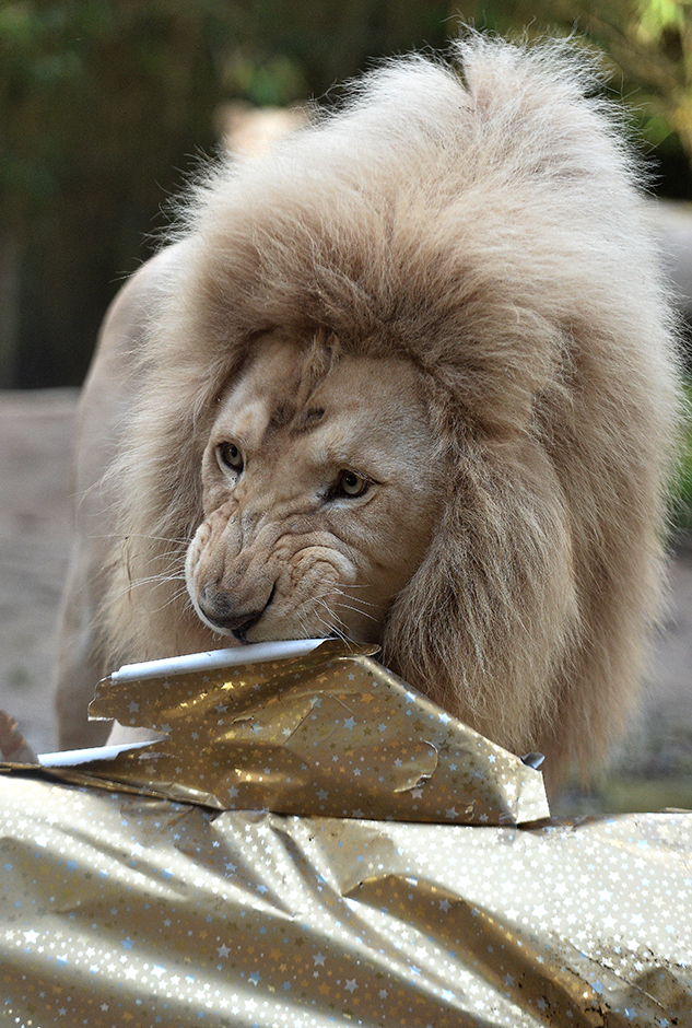 AFP/Jean-Francois Monier