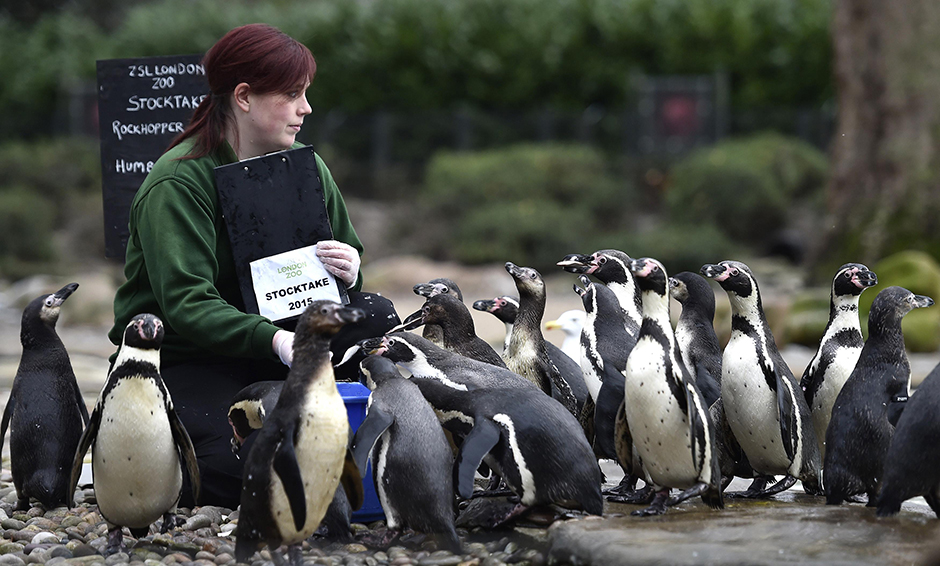 REUTERS/Toby Melville