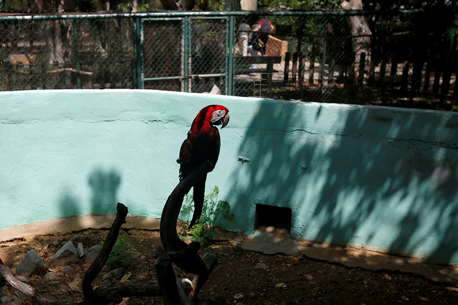 REUTERS/Carlos Jasso