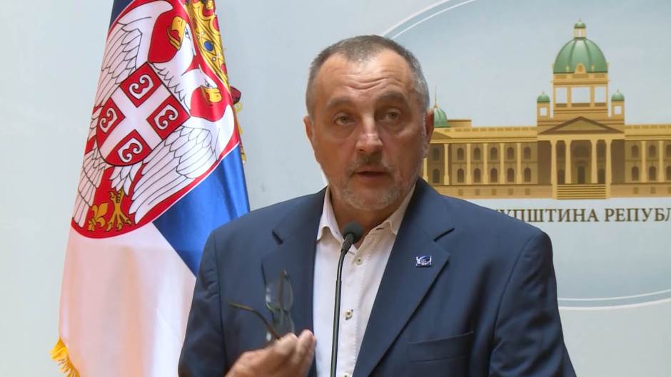 zoran živković n1