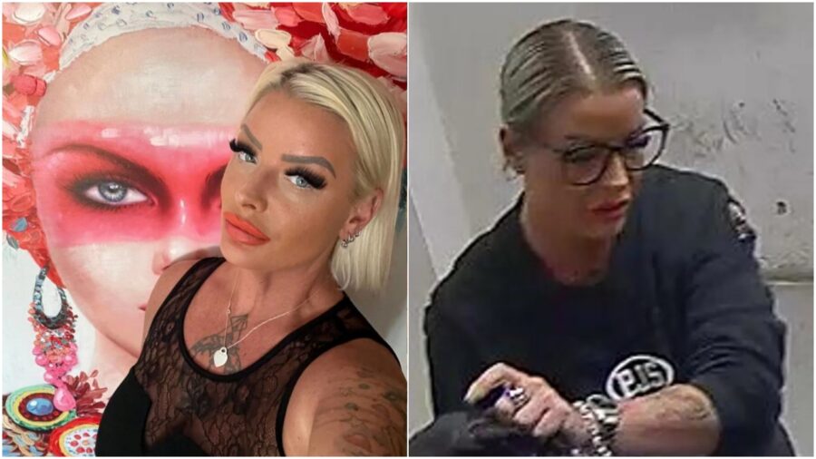 Detalji milionske krađe u Stuttgartu za koju je osumnjičena Mirnesa S ...