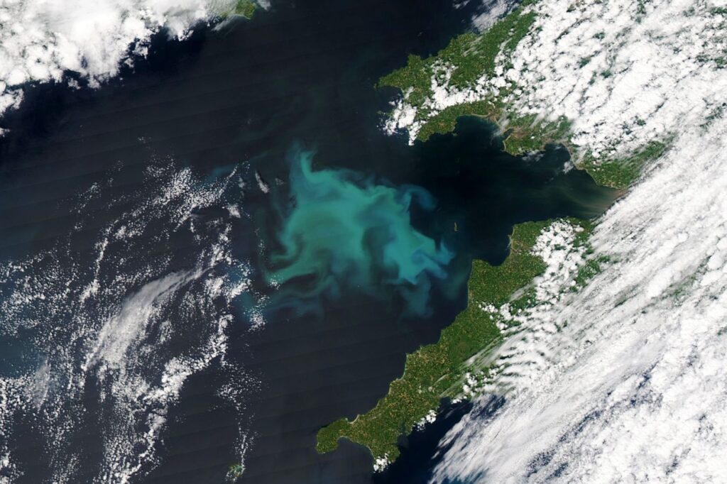 Na dnu okeana otkrivena pojava koja je zabrinula naučnike - N1