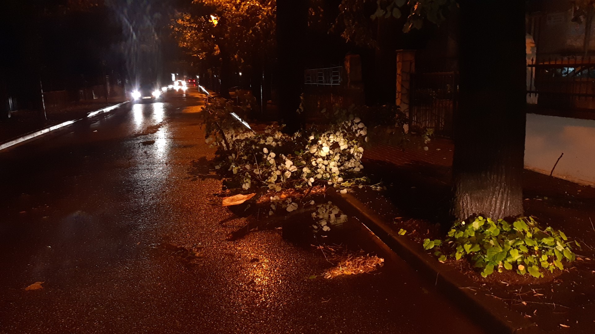 Nevrijeme U Hercegovini: Grom Udario U Kuću, Oborena Stabla I Grane - N1