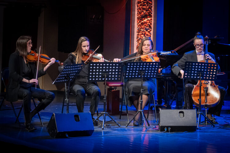 Koncert Mirze Redžepagića u NPS